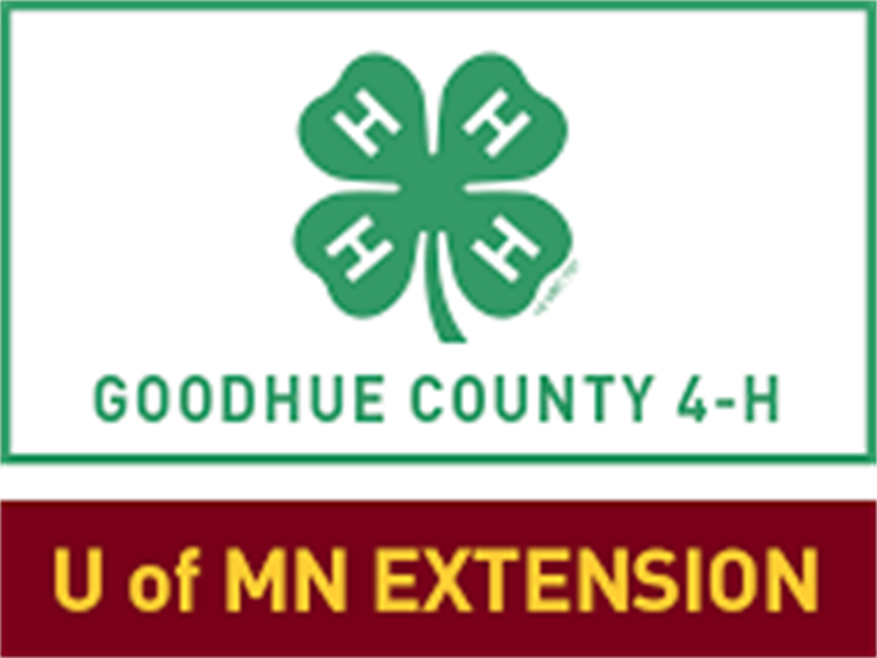 Logo for 2025 Goodhue County Fair